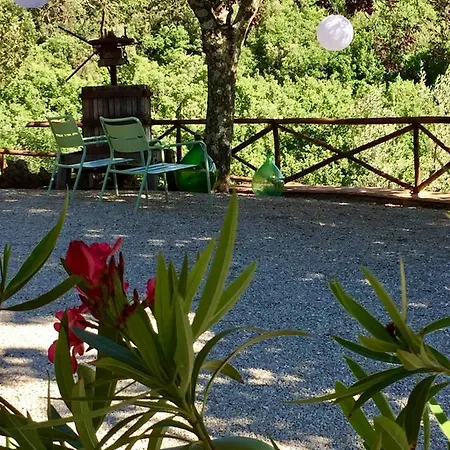Agriturismo Borgo Di *